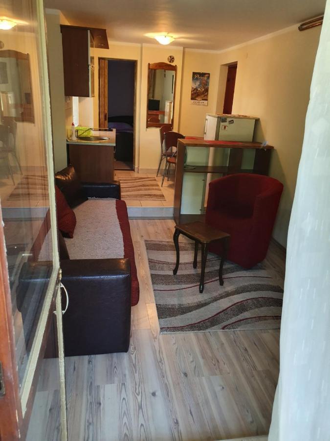 Apartament Apartman Sergej 2 Sokobanja Zewnętrze zdjęcie