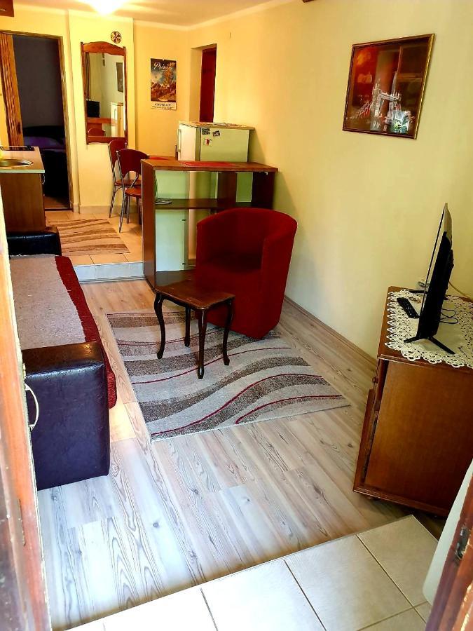 Apartament Apartman Sergej 2 Sokobanja Zewnętrze zdjęcie