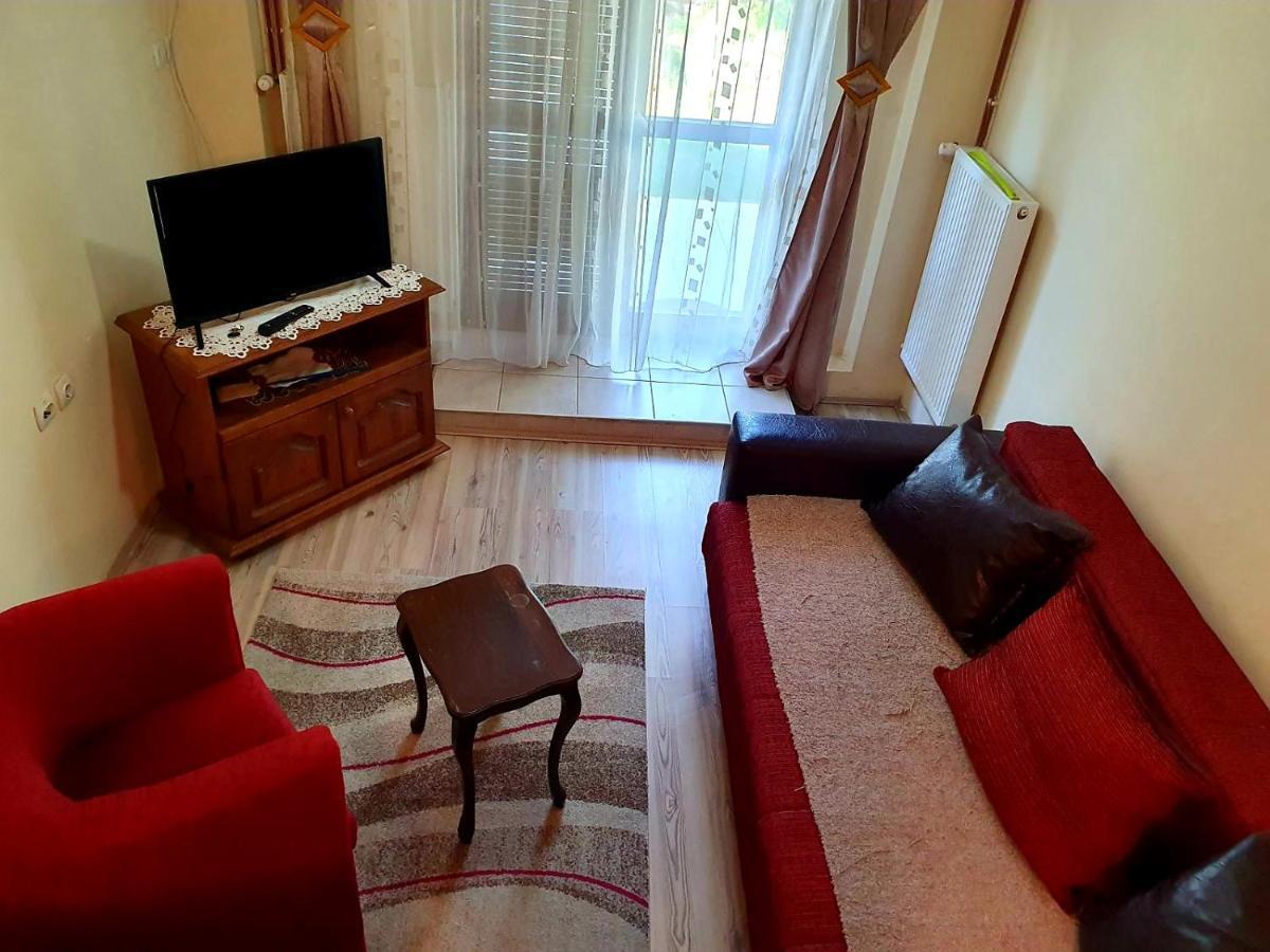 Apartament Apartman Sergej 2 Sokobanja Zewnętrze zdjęcie