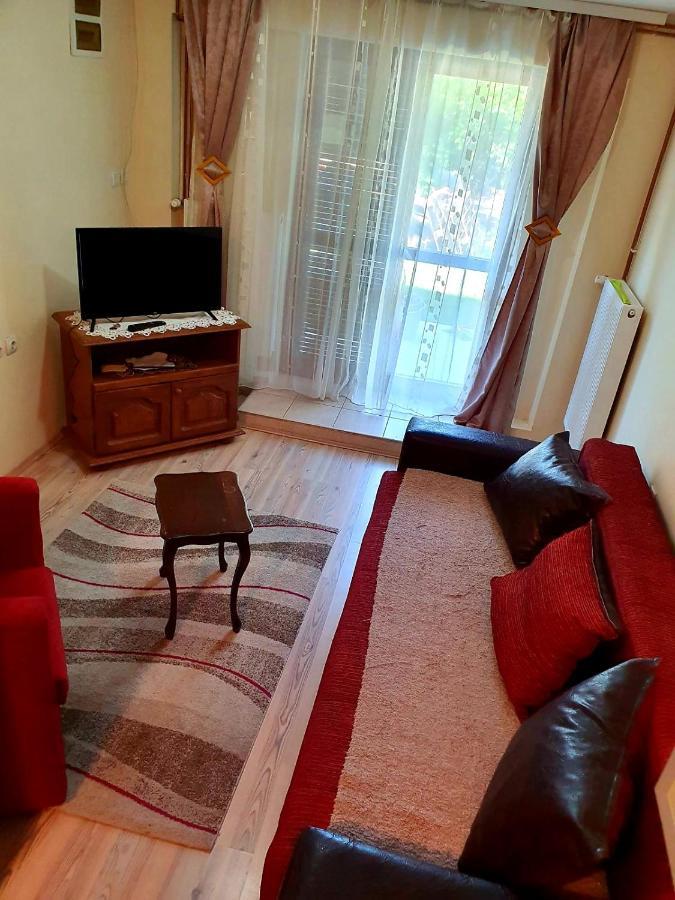 Apartament Apartman Sergej 2 Sokobanja Zewnętrze zdjęcie