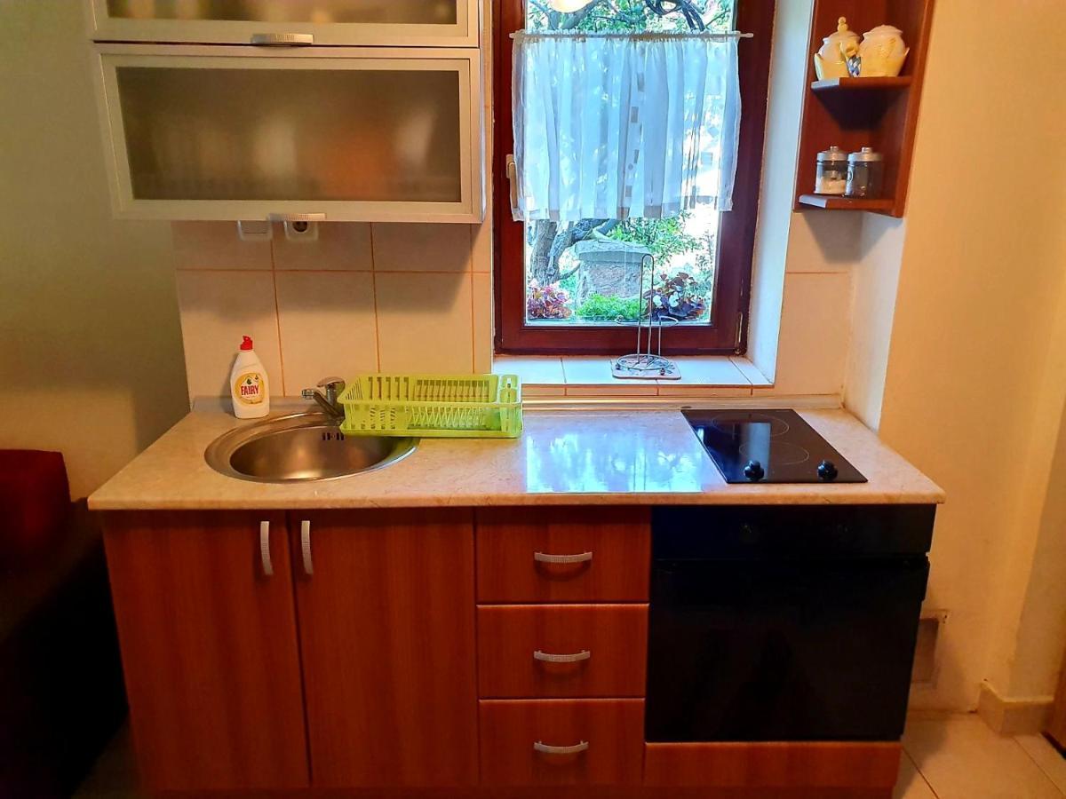 Apartament Apartman Sergej 2 Sokobanja Zewnętrze zdjęcie