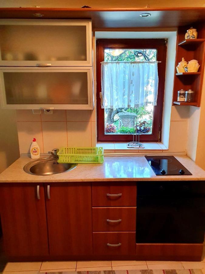 Apartament Apartman Sergej 2 Sokobanja Zewnętrze zdjęcie